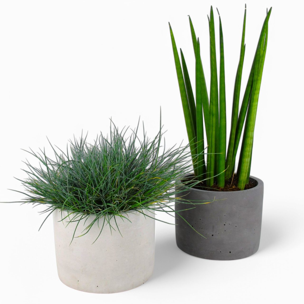 Maceta | Blumentopf Ø=15cm aus Beton