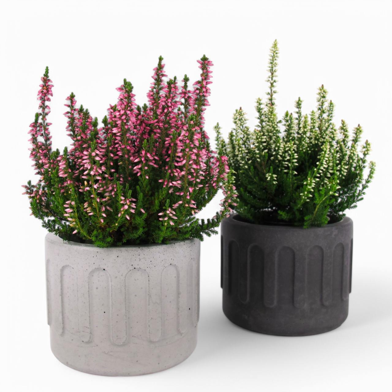 Tinn | Blumentopf Ø=10cm aus Beton