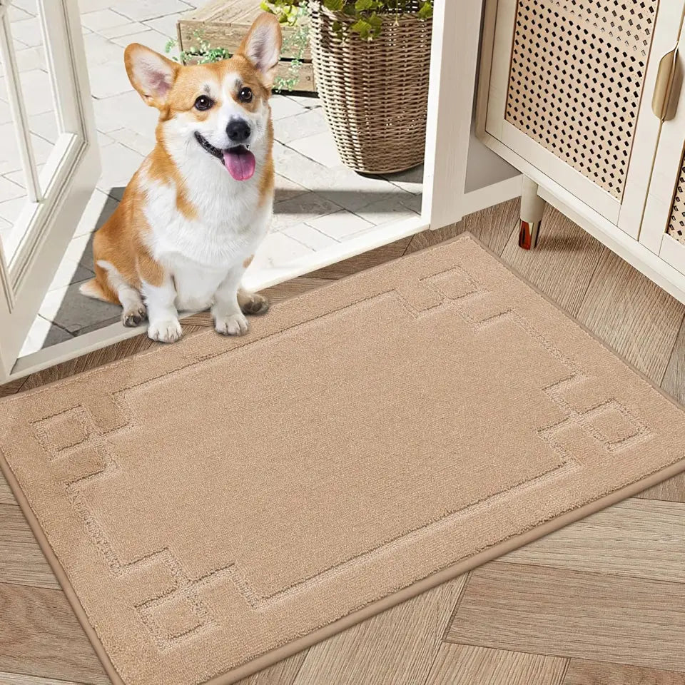 Classic Framed Thin Door Mat
