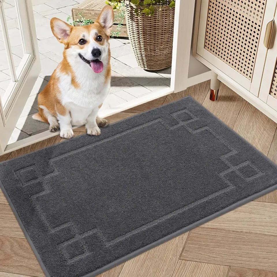 Classic Framed Thin Door Mat