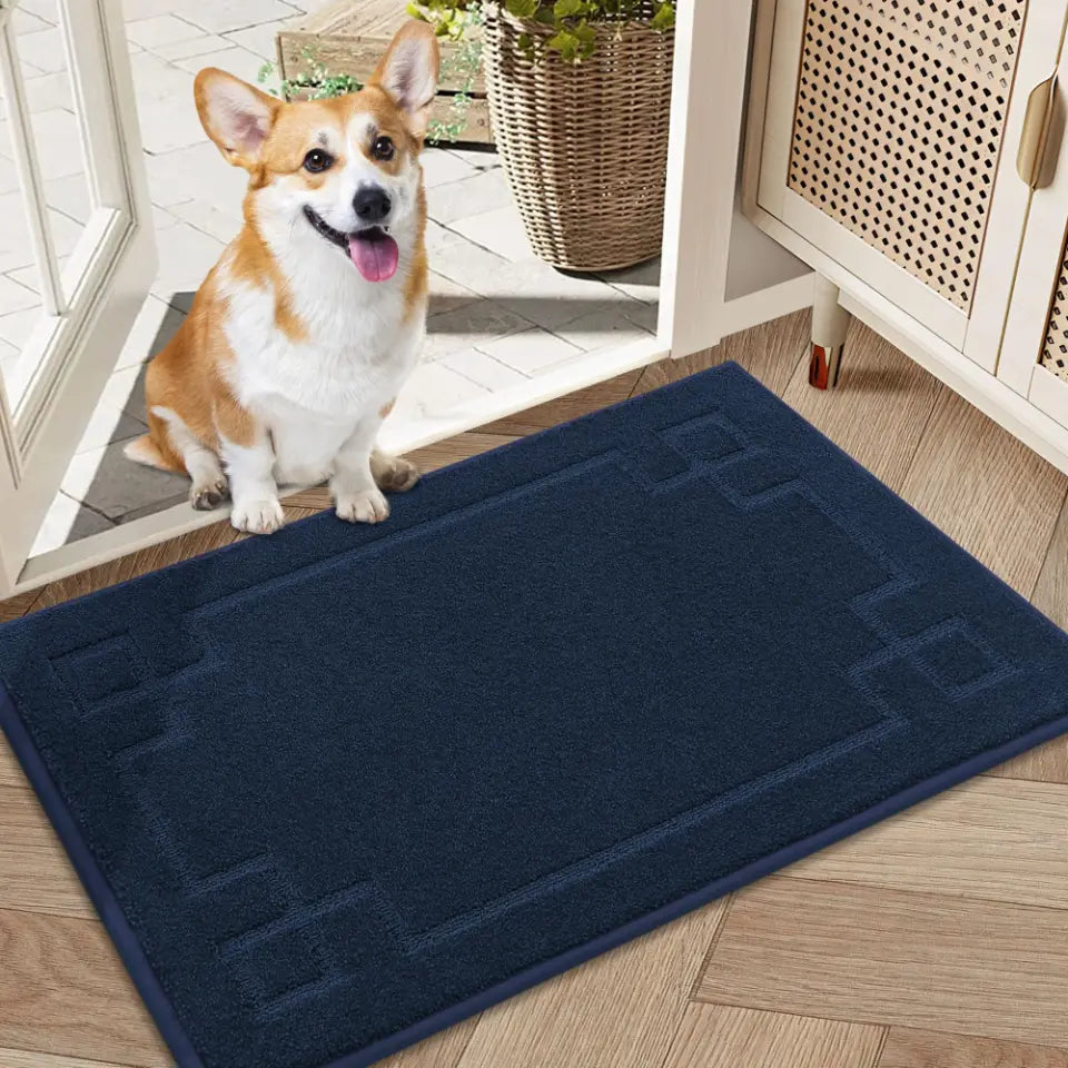 Classic Framed Thin Door Mat