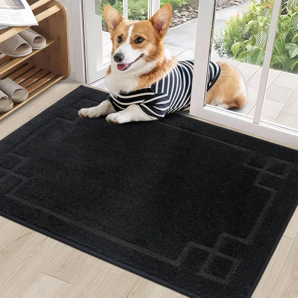 Classic Framed Thin Door Mat