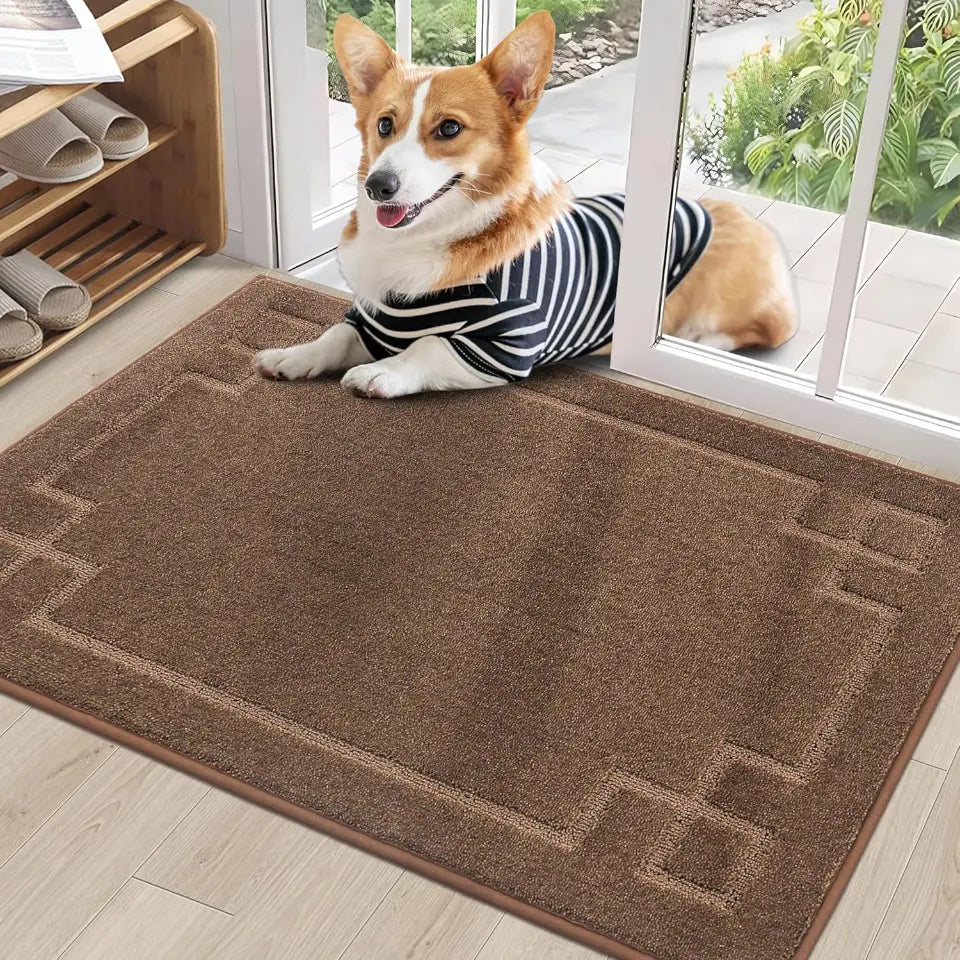 Classic Framed Thin Door Mat