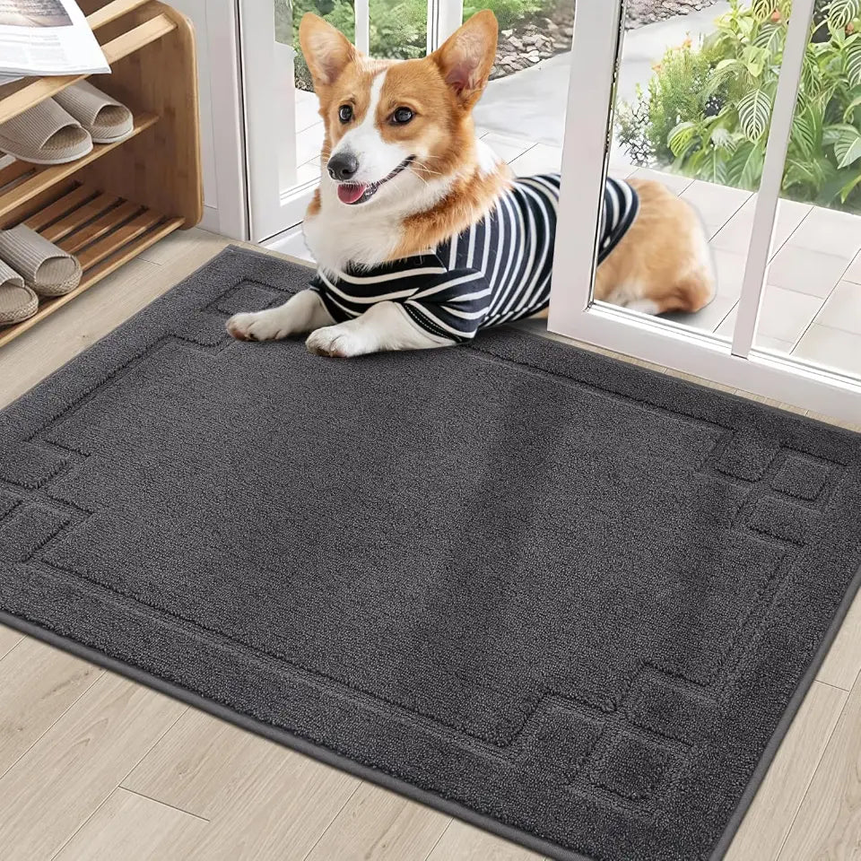 Classic Framed Thin Door Mat