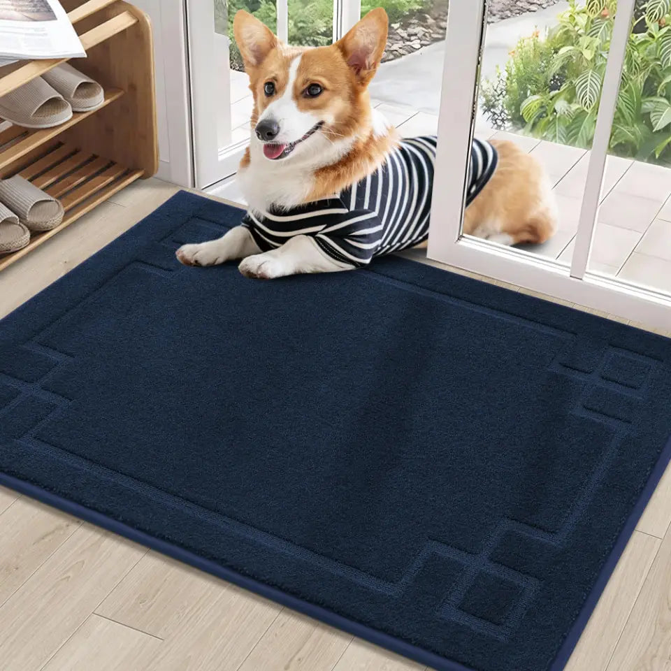 Classic Framed Thin Door Mat