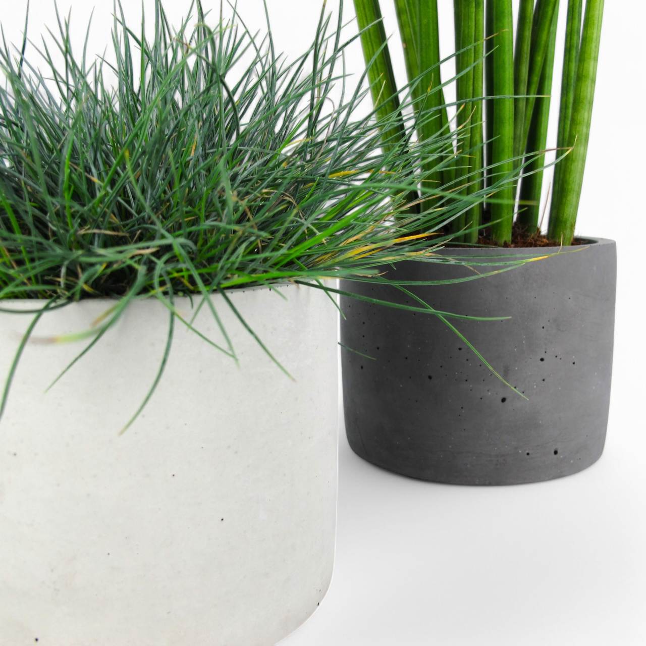 Maceta | Blumentopf Ø=15cm aus Beton