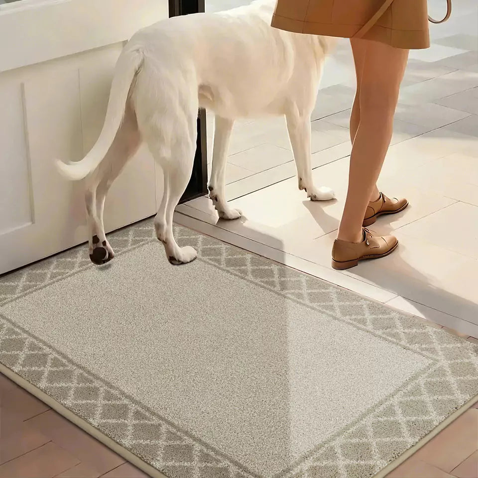 Diamond Lattice Bordered Non Slip Indoor Front Door Mat