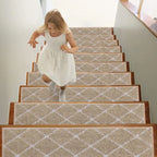 Checkerboard Modern Carpet on Stairs Set