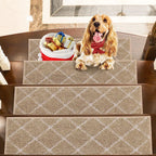 Checkerboard Modern Carpet on Stairs Set