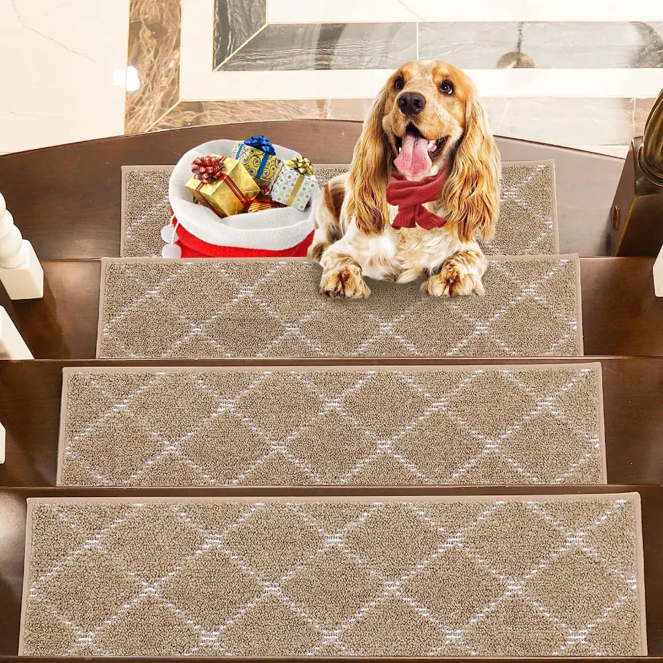 Checkerboard Modern Carpet on Stairs Set